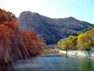 天天彩好彩天天免费，什么胶水可以粘住铁